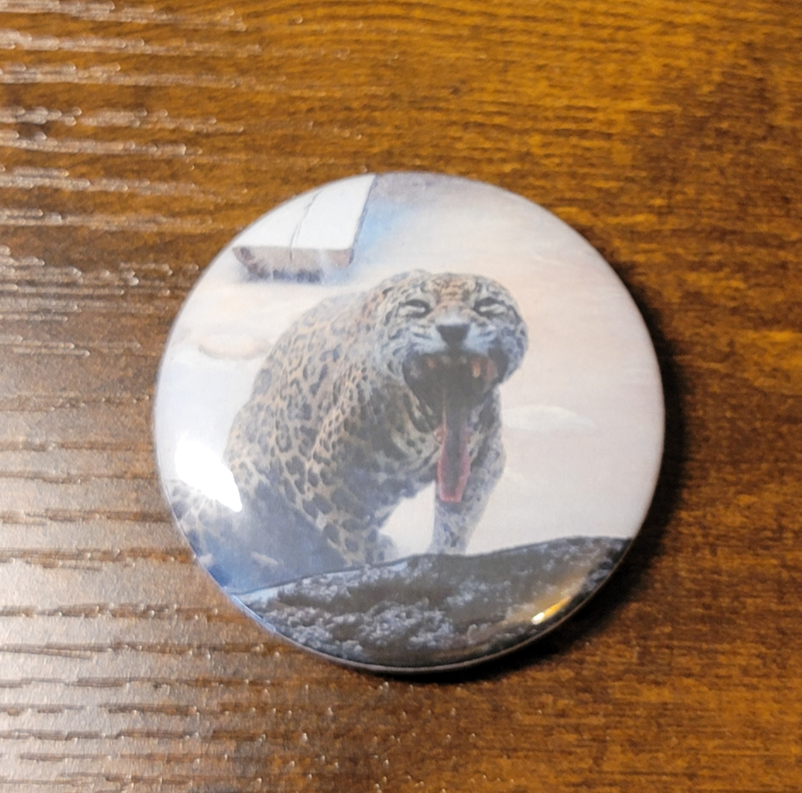 Magnet - 2.25 Inch Round